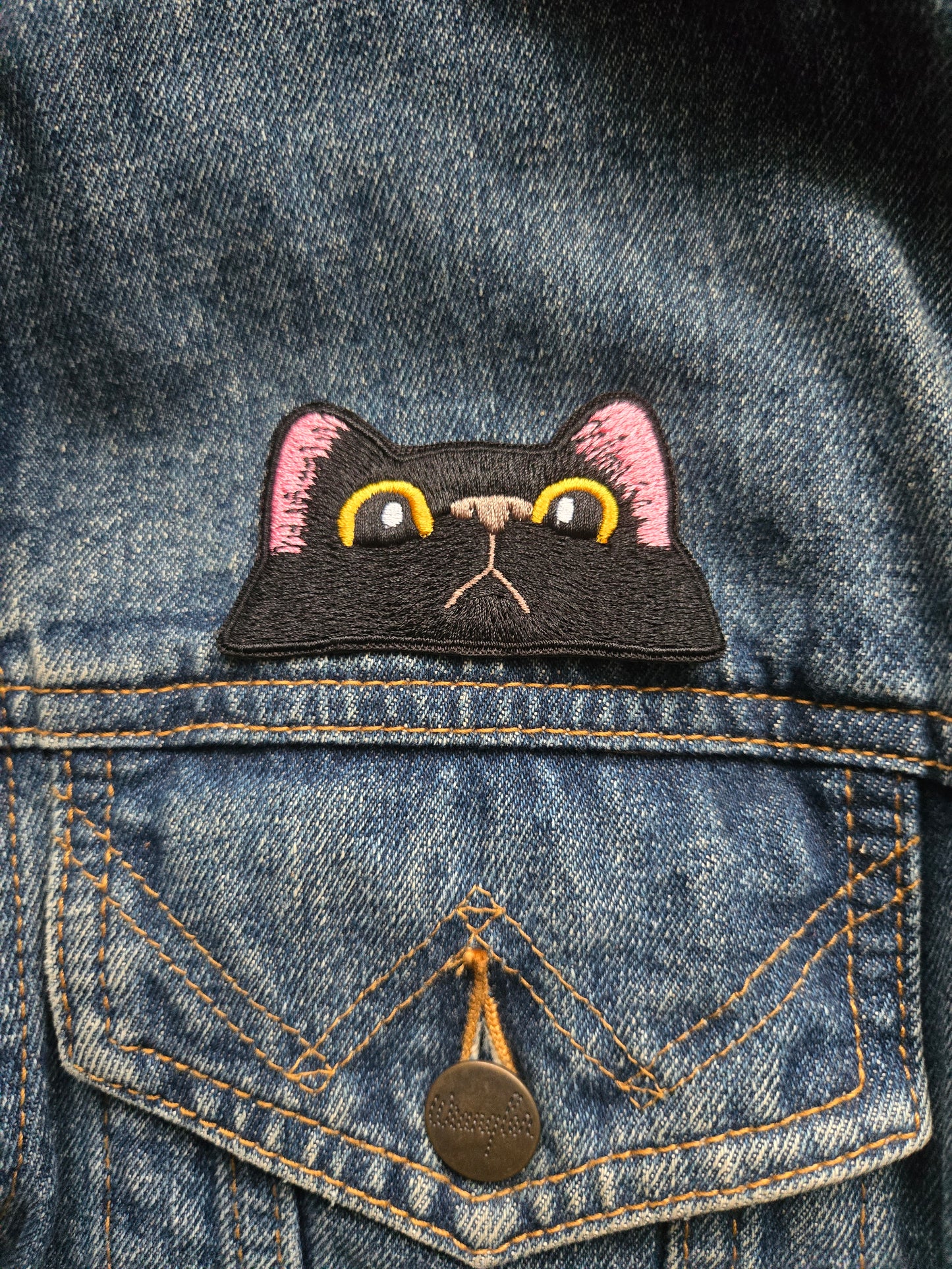 Cat peek-a-boo