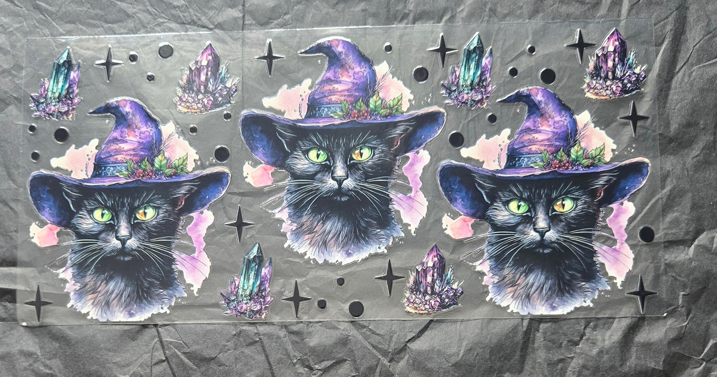 Witch Cat