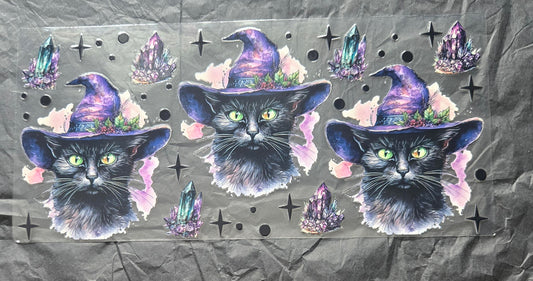 Witch Cat